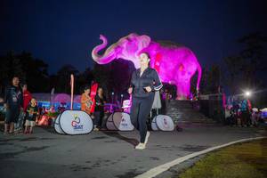 BIB: 
                            <button type="button" onclick="openModal(26551762)" class="btn btn-primary btn-sm float-right btn-popup" data-toggle="modal" data-target=".modal-high-quality">
                        <i class="fas fa-shopping-cart"></i> Add to Cart
                    </button>
                                            <button type="button" onclick="isThisMe(26551762, true)" class="btn btn-success btn-sm float-right btn-popup btn-isme hidden" data-toggle="tooltip" data-placement="bottom" title="นี่คือรูปของคุณใช่ไหม คลิกที่นี่เพื่อเอาเข้าอัลบั้ม">
                        <i class="fas fa-plus"></i> Add to album
                    </button>
                    <button type="button" onclick="isThisMe(26551762, false)" class="btn btn-warning btn-sm float-right btn-popup btn-isnotme hidden">
                        <i class="fas fa-ban"></i> Remove from album
                    </button>